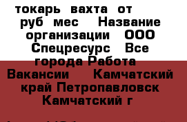 токарь. вахта. от 50 000 руб./мес. › Название организации ­ ООО Спецресурс - Все города Работа » Вакансии   . Камчатский край,Петропавловск-Камчатский г.